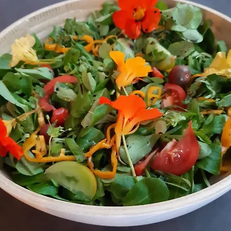 Le Thirifays Bed & Breakfast Chiny