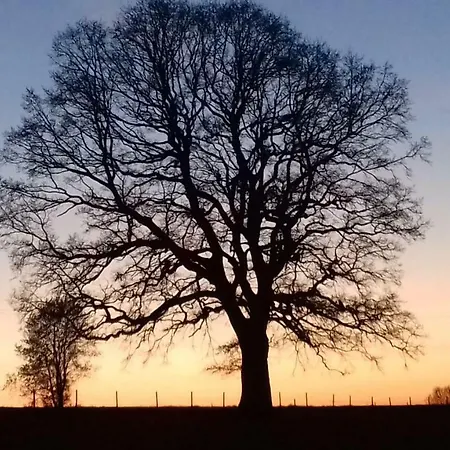 Le Thirifays Bed & Breakfast Chiny