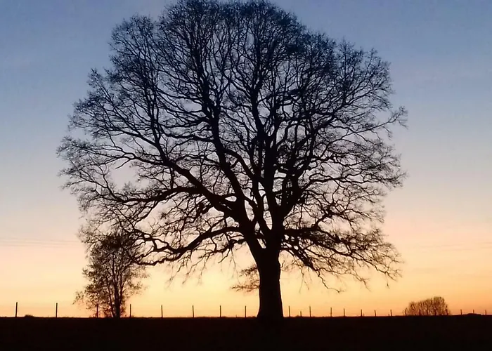 Le Thirifays Frühstückspension Chiny